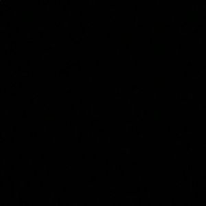 Meet your Posher, Lelani